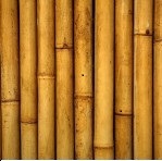 bamboo-dry1-150x150[1]