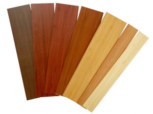 shades of bamboo